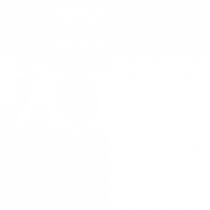 ZONA I Logo